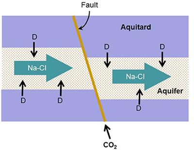 Thermodynamic and Kinetic Response of Microbial Reactions to High CO2